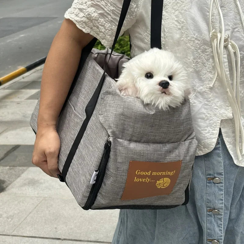 Small white dog in gray pet carrier bag with brown patch, Carcader street pet transport