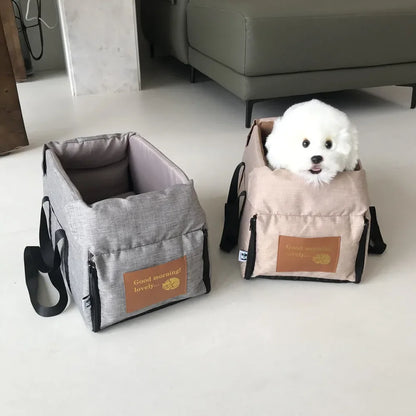 Small white dog in beige pet carrier and empty gray pet carrier on modern living room floor
